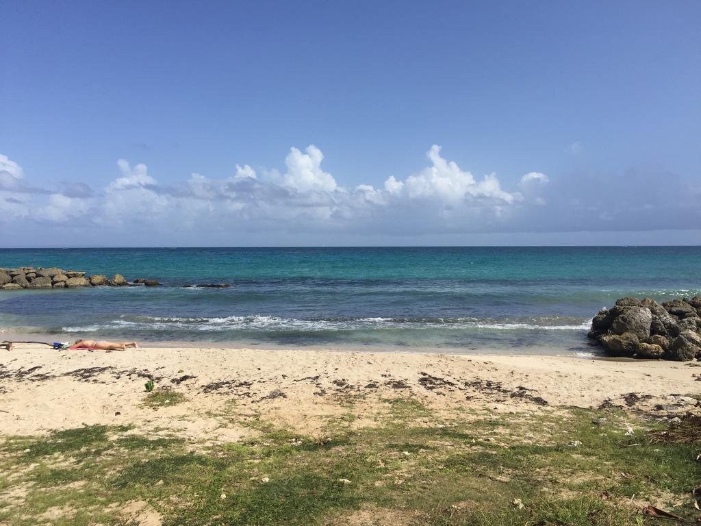 Location Guadeloupe Apartment Le Gosier  Bagian luar foto